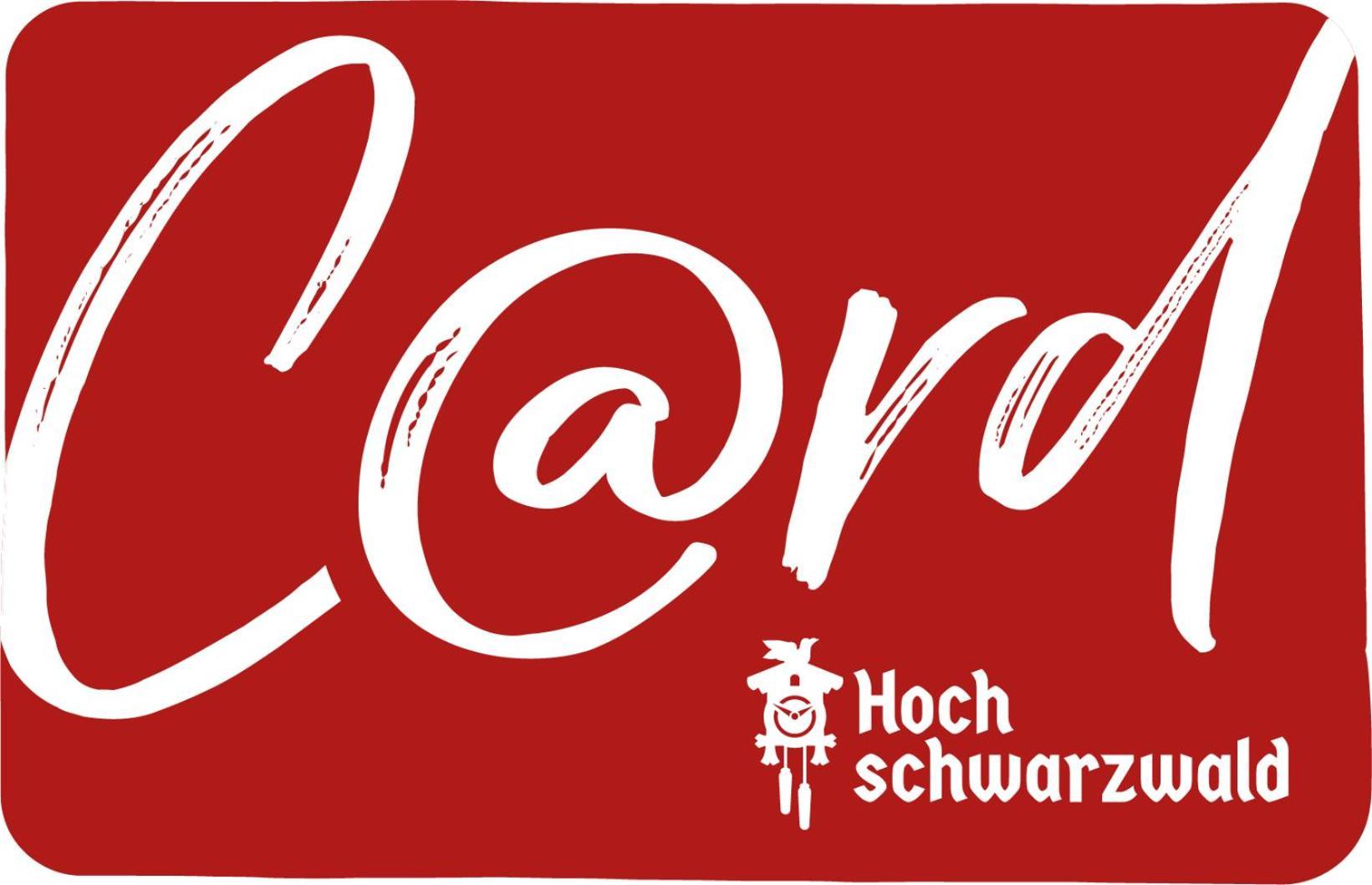 Fewo Zum Gscheiten Beck Mit Garten Feldberg  Luaran gambar